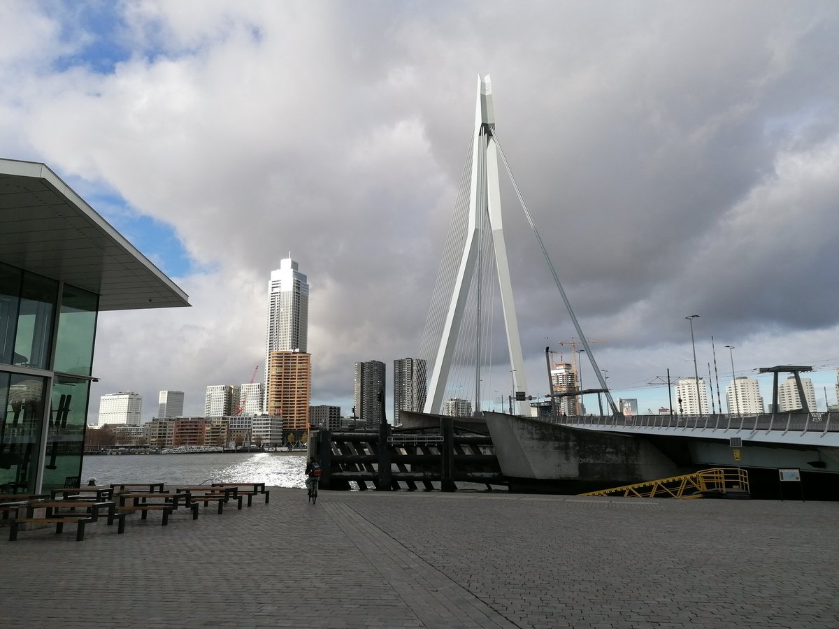 DaisyPooler's tweet photo. Rotterdam! https://t.co/NxaSPR5JaO