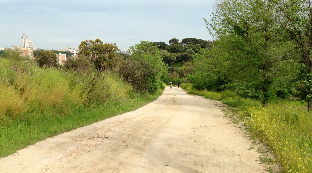 RunOurWorld's tweet photo. #Madrid is a lively, urban place, with people and traffic everywhere. But just outside the city center is a huge stretch of countryside, the #CasaDeCampo. Trails wind through quiet Spanish nature and Roman ruins, a refreshing contrast to the city center: https://t.co/wAwrF8tOOr https://t.co/IeuLFgiPKW