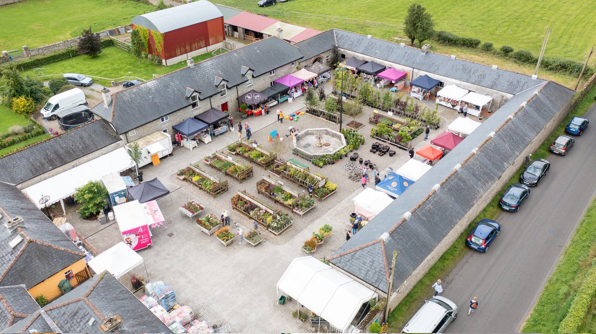 Lynda Sheehan tweet media