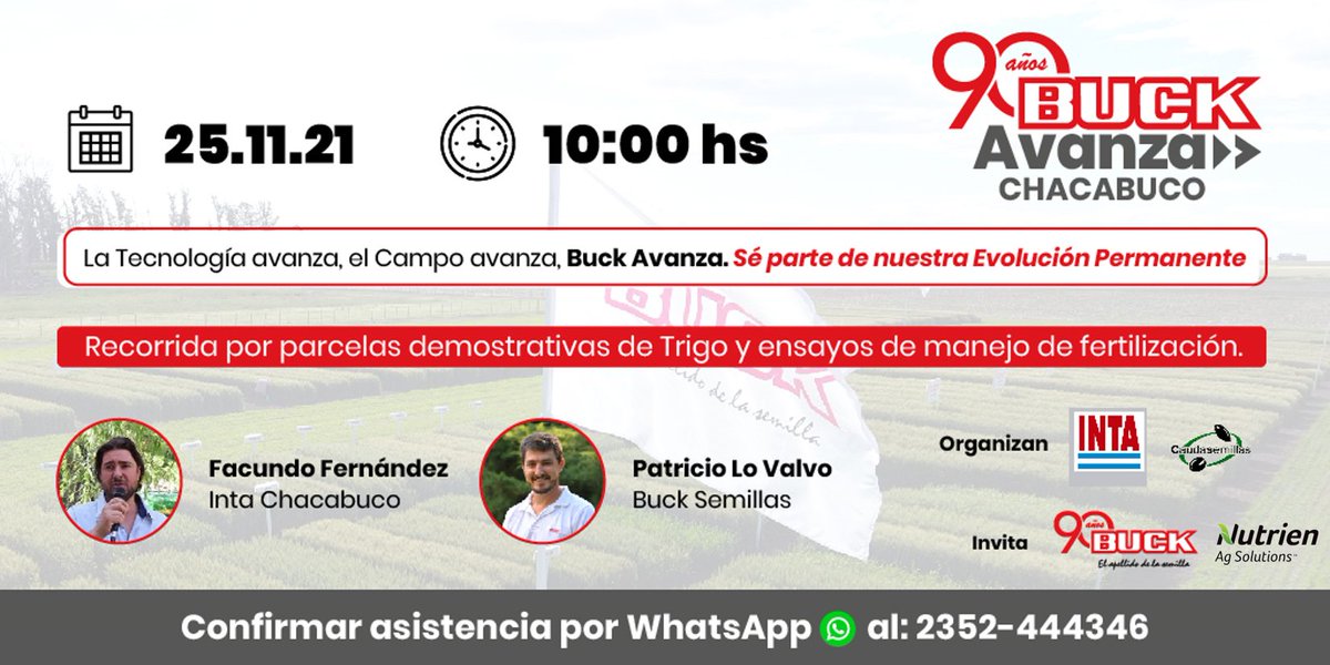Buck Semillas tweet media