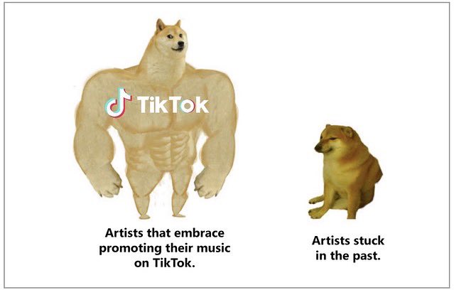 You can't afford to ignore TikTok any longer 🏋️ 🐕
We explain here:

playlistpush.com/blog/the-cost-…