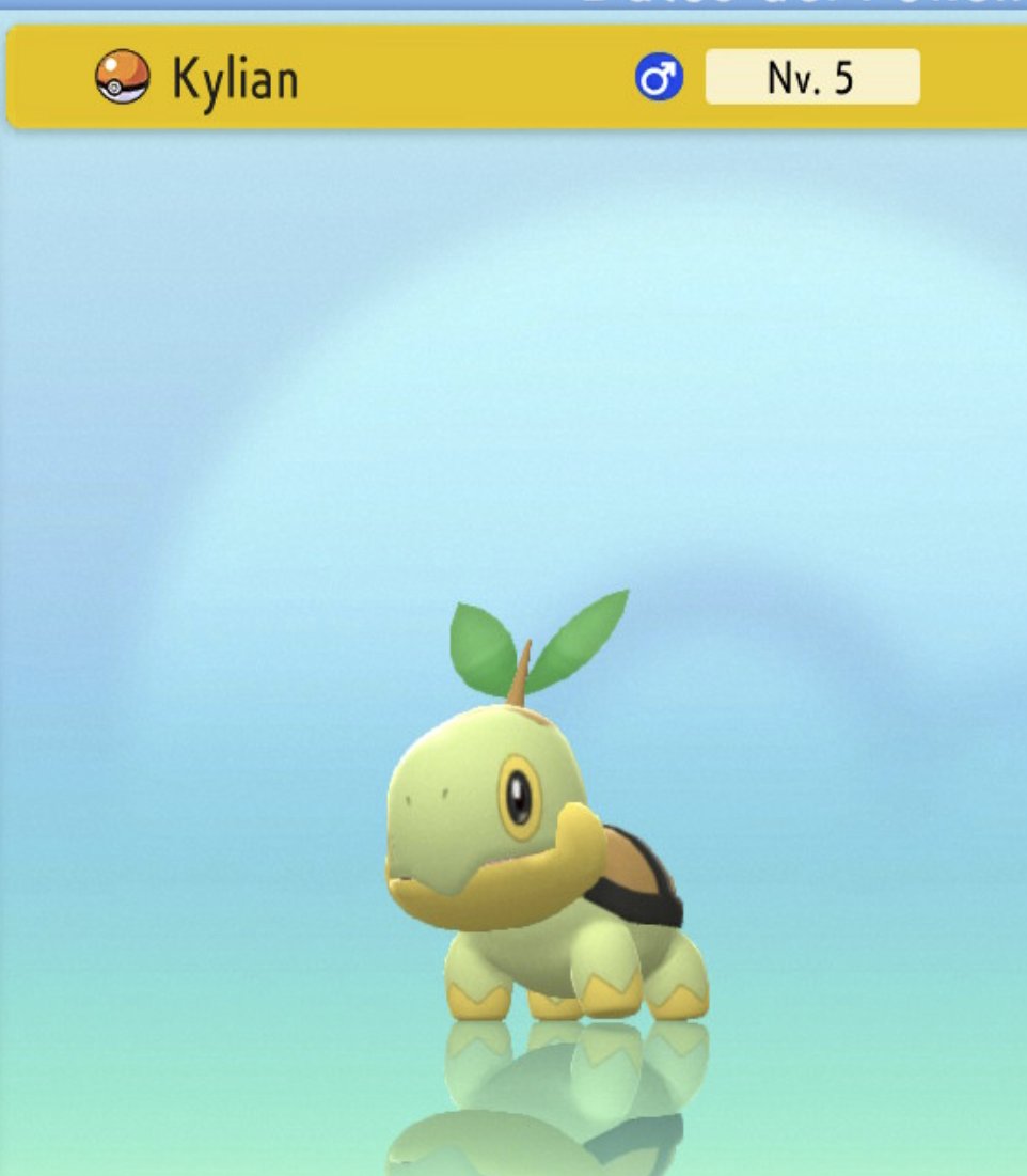 Aunque sé que no debo
pensar en ti bebé
pero cuando bebo 
me viene tu nombre
tu cara, tu risa y tu pelo

#FreeMbappe
🐢

 #PokemonDiamanteBrillante #NintendoSwitch