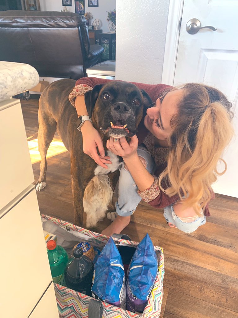 madelyn_moye's tweet photo. to the pup that raised me &amp; every preschooler that stepped foot in our house, you’re the best boy this world will ever know. you’re so loved &amp; missed already Scout🤍 https://t.co/usVexL2je9