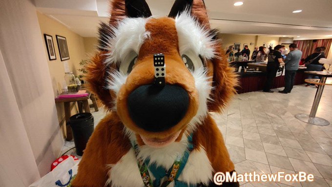 Have a nice #FursuitFriday ! Foxxo is trying to learn how to use dices ... is it how it is supposed to<a href="/tag/fursuitfriday"class="tags">#FursuitFriday</a><a href="/tag/furry"class="tags"><span>#furry</span></a><a href="/tag/fursuit"class="tags"><span>#fursuit</span></a><a href="/tag/fursuiter"class="tags"><span>#fursuiter</span></a>