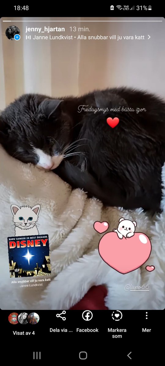 livelifeonlove's tweet photo. Bjuder på en mysig bild på vår fina Myskille #Izor #katt https://t.co/879Sl7LBQ6