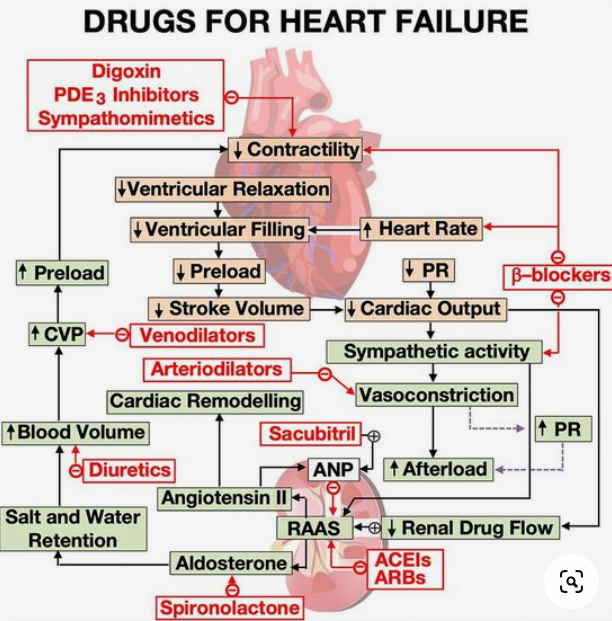 ManualOMedicine's tweet photo. Drugs for Heart Failure.

#meded #foamed #medtwitter #cardiotwitter #CardioEd https://t.co/hS67ptRnWR