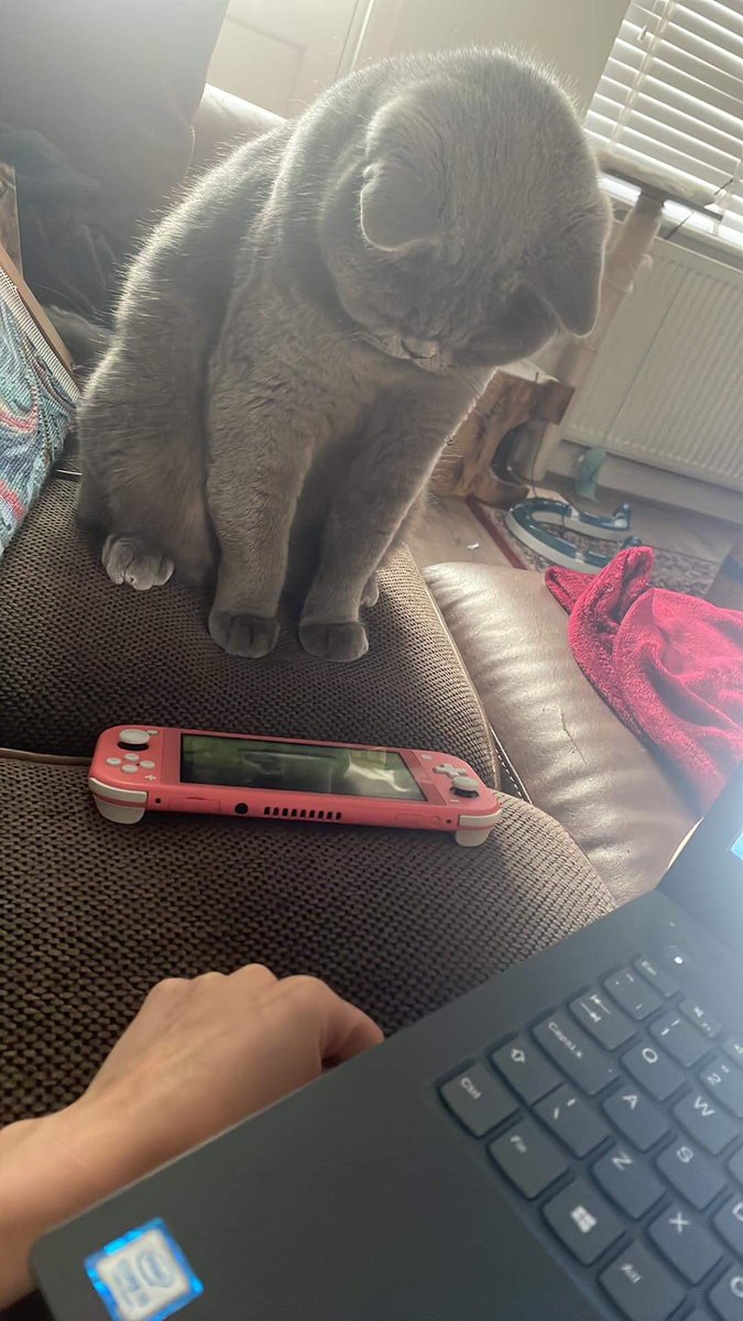 Отвлекающий фактор шум. Телефон заменил живое общение. Включи отвлекающую. Общение за рулем. Отвлекается на работе.