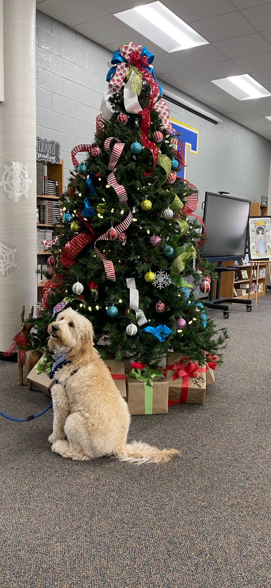 thsmediacenter's tweet image. Wavely is THANKFUL that Christmas is right around the corner!