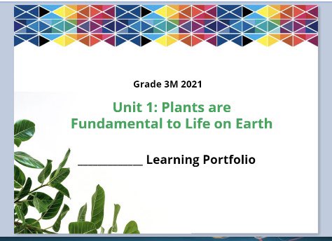 JoMartinEDU's tweet photo. Third graders are busy preparing their first two unit portfolios as they get ready to share, reflect, and celebrate with their parents in our upcoming portfolio conferences! #BookCreatorChallenge https://t.co/IOLVyox7g0