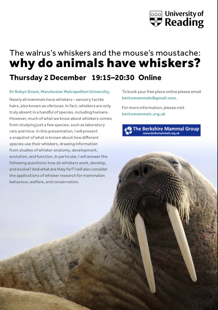 Berks Mammal Group (@berksmammals) on Twitter photo 