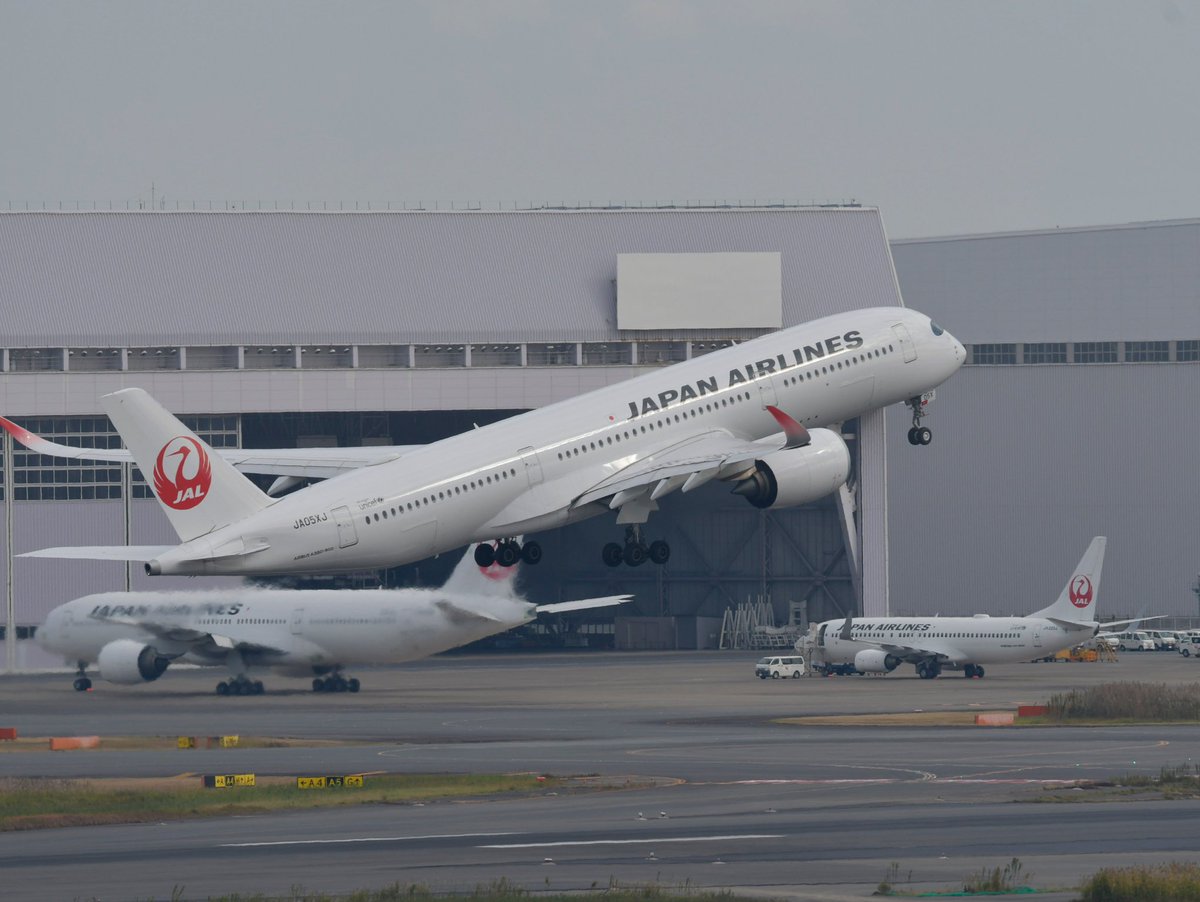 羽田空港
#羽田空港#羽田#飛行機#旅客機#航空機#飛行機写真#飛行機大好き#飛行機好き#飛行機好きな人と繋がりたい#飛行機撮影#飛行機写真撮っている人とつながりたい#飛行機倶楽部#飛行機好き#飛行機のある風景#空港好き#エアライン#航空#航空機写真#写真#写真好きな人と繋がりたい