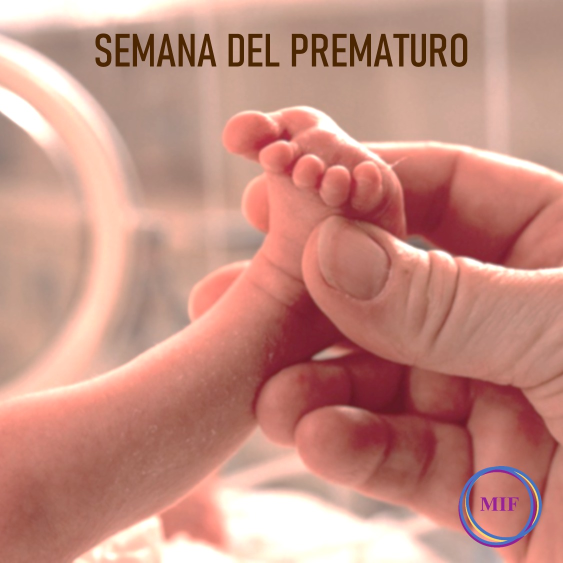 MIF Mujeres Independientes y Federales on Twitter: MIF Mujeres Independientes y Federales on Twitter:
