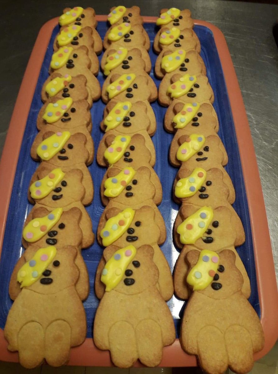 Children in need <a href="/packwoodhaugh/">Packwood Haugh</a> #childreninneed2021 #ChildreninNeed #goodcause #