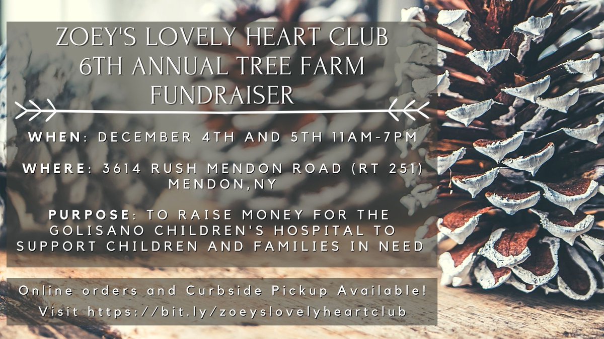 urmed_psych's tweet photo. If you are looking for a way to give back while doing your holiday shopping this season, check out this event! Started by our very own Dr. Megan Lytle and her husband Patrick, this fundraiser helps support @URMed_GCH and NICU families. For more info visit https://t.co/5r1htfgaOF! https://t.co/v1yBRZXtSI