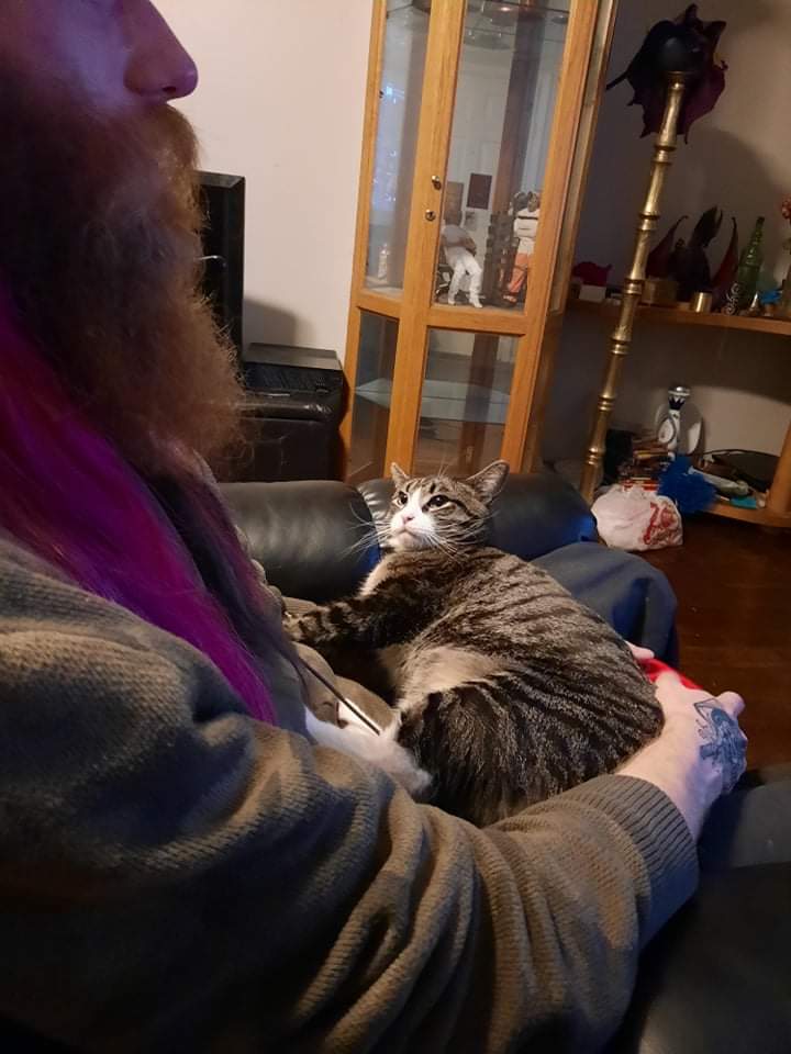 R3dEyeCoyote tweet media