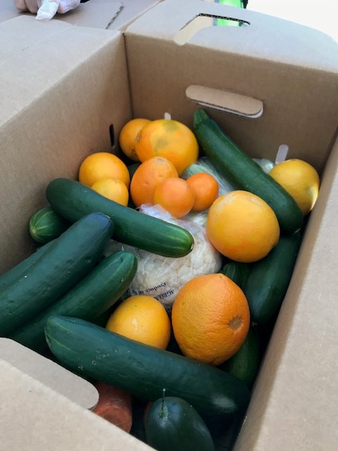 OfficialEVC's tweet photo. Talk about #EVCPride! A huge thanks to our EVC staff, faculty, and students who volunteered today to help distribute free food to over 250 students and community members in partnership with @2ndharvest. π₯ π₯©π₯¦ #FoodSecurity #EVCconnected https://t.co/rHloOQQiAy