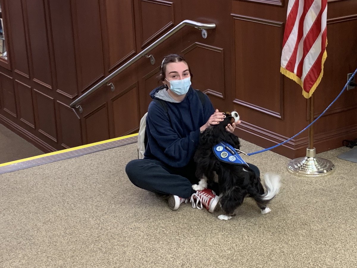 Always love when these pups come around to brighten our day. Thanks so much Buster and Remy for taking time out of your busy doggie day to come by and say hello!!!