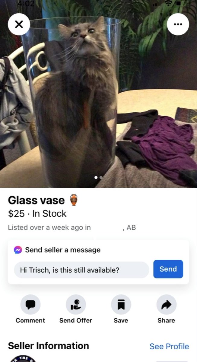 Today in weird things people post on Facebook marketplace.