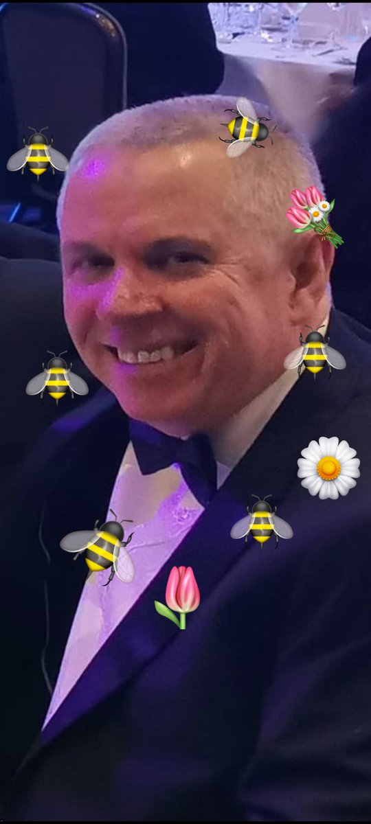 LauraEak15's tweet photo. #beebomb #ysoya https://t.co/qCAkhks1RS