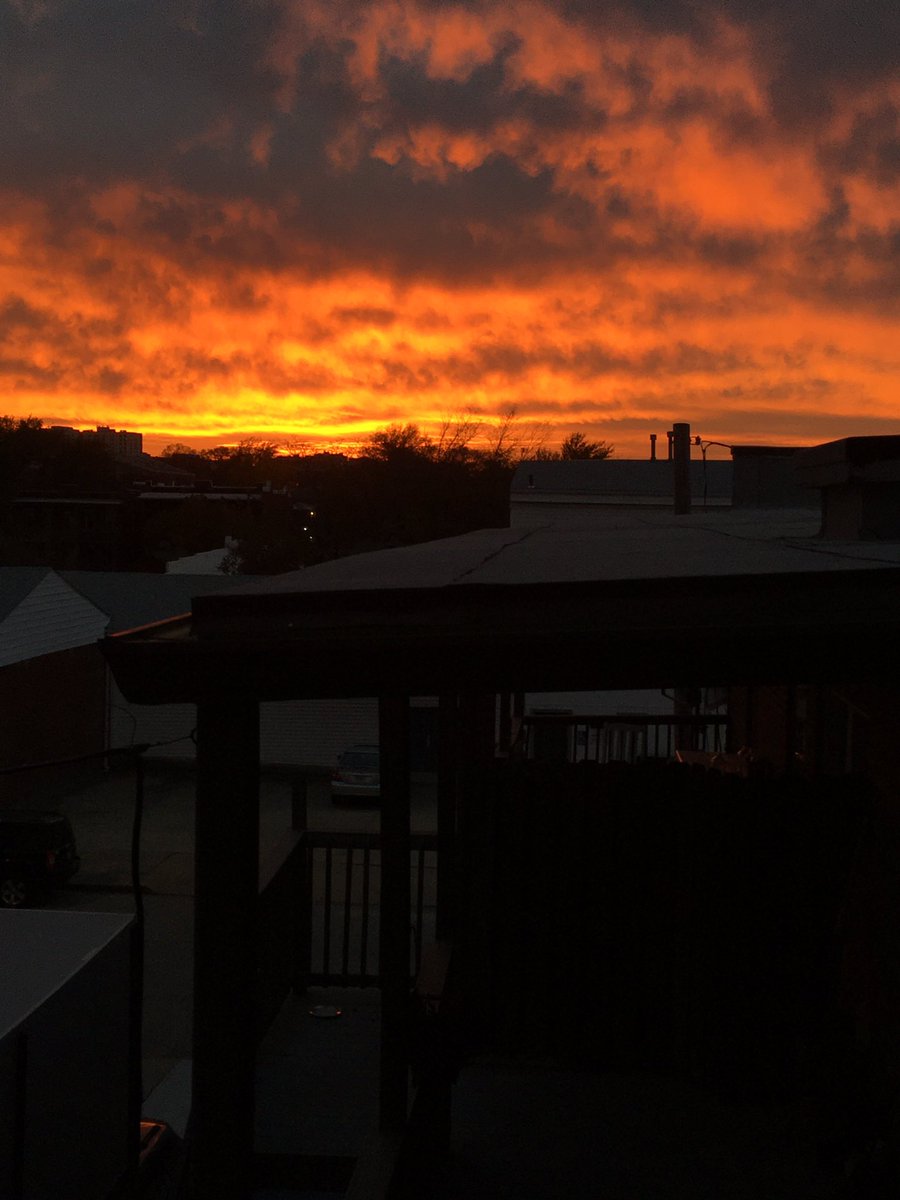 Ann Van Zee tweet media