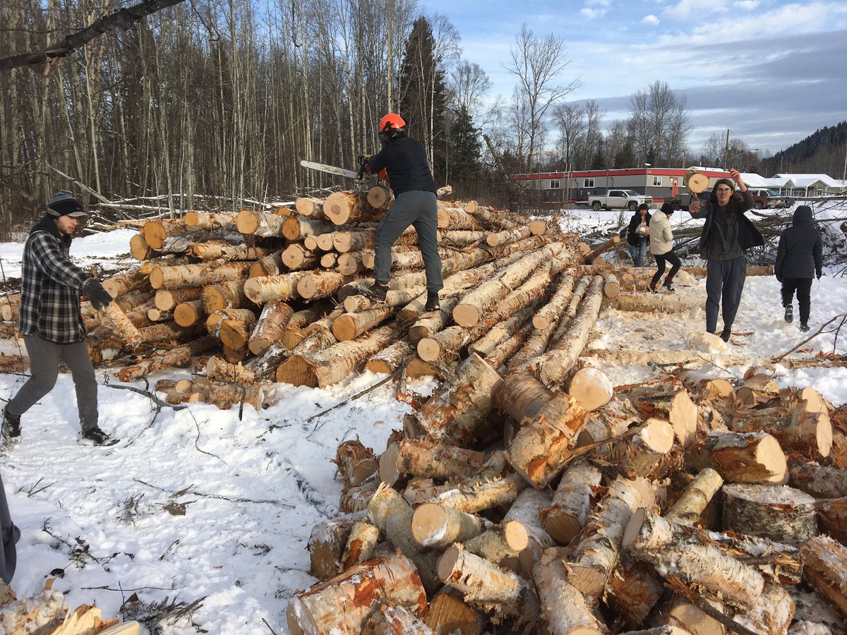DeadPine57's tweet photo. Dead Pine Collective organized w/ Andrew Davis @CanforCorp to have a log truck load of birch firewood delivered 2 Lheidli @ Shelley. @dptstrojans &amp; Justin w/ 2 @EaglePgss bucked and split for 4hrs. Back another day 2 finish. @pamelaspooner77 @SD57PG @SD57Indigenous @Stephymarie33 https://t.co/b6jFDIjA3N