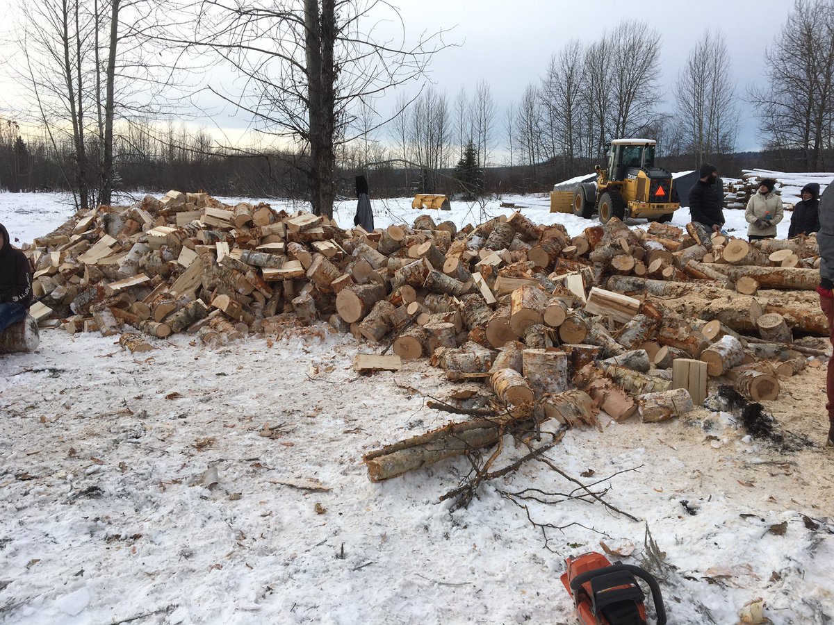 DeadPine57's tweet photo. Dead Pine Collective organized w/ Andrew Davis @CanforCorp to have a log truck load of birch firewood delivered 2 Lheidli @ Shelley. @dptstrojans &amp; Justin w/ 2 @EaglePgss bucked and split for 4hrs. Back another day 2 finish. @pamelaspooner77 @SD57PG @SD57Indigenous @Stephymarie33 https://t.co/b6jFDIjA3N