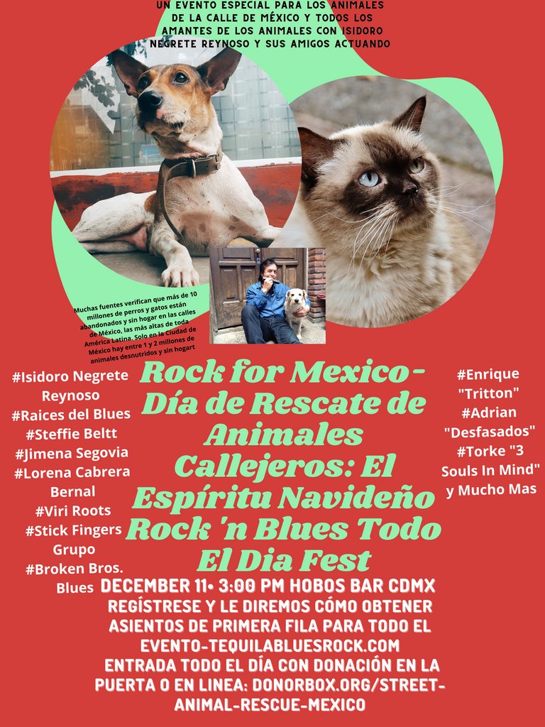 bobremp's tweet photo. Great #Lineup Shaping Up For The December 11 Live Rock 'n Blues Explosion Fest.  #Mexico City #Mexico #Fundraising #Benefit #Fest For #Street #Animal #Rescue.  Big Hearts-Big Talent Performers Coming Together. ❤️https://t.co/7W8zpbHQ4V https://t.co/9Wv3AUezzy