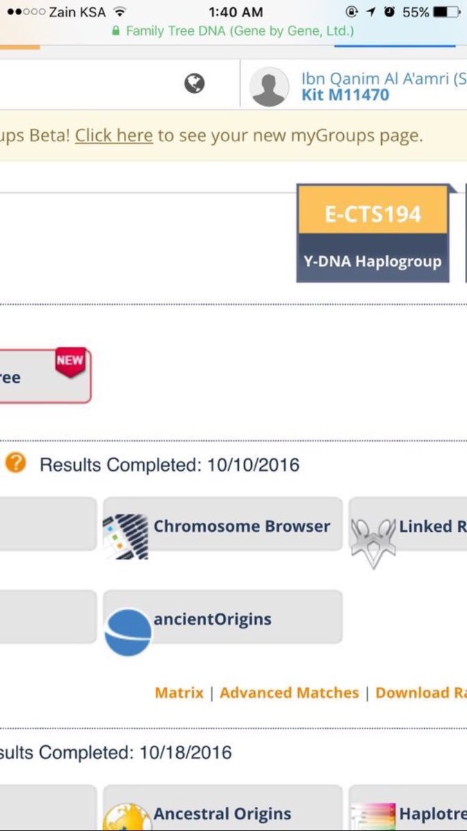☪️ E-V65 البحار tweet media