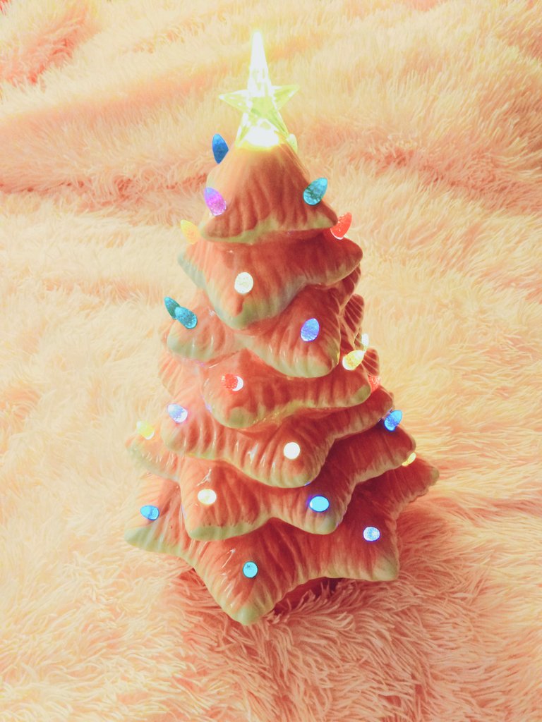 Charo_Miami's tweet photo. I got a little gift today!!! Isn't it the CUTEST EVER?! I love it!! 🎄🦩
#pinkxmas https://t.co/JipdruTjVW