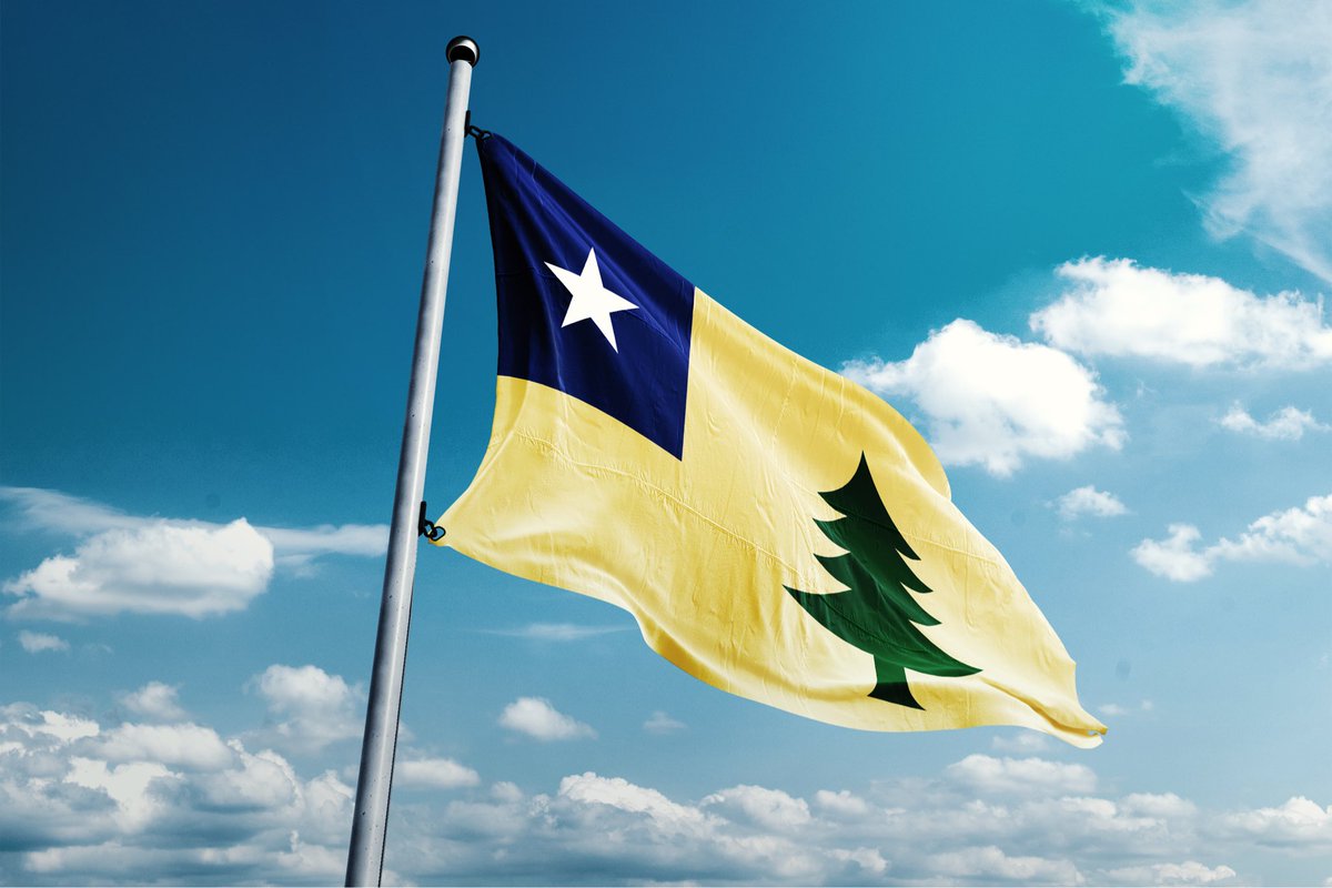 Back9Ben's tweet photo. LAST DAY of Guess The Made-Up Flag’s State! 

This ones so good I found a “real life” photo of it 😎 #flagchat https://t.co/uDt1BaSp5i