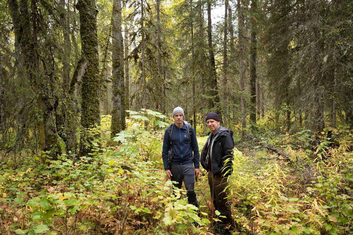 Anchorage Museum tweet media