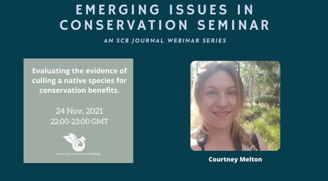 Society4ConBio's tweet photo. Register now for an exciting talk next week, 24 Nov, from Courtney Melton on "Evaluating the evidence of culling a native species for #conservation benefits," in @ConservationSP!
https://t.co/L4dMnGAh35 https://t.co/qt3MDOhkOp