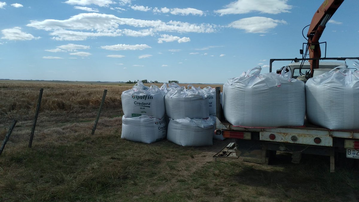 YalfinSA's tweet photo. ¡Todo pronto para sembrar!
Siembra de semilla de Soja #BASFCredenz de @basf_agro_arg en Sauce de Mansavillagra, Florida 🇺🇾 💪

#SembrandoUruguay
#CampañaSoja
#RecorridaYalfín https://t.co/BLp2aPvW6A