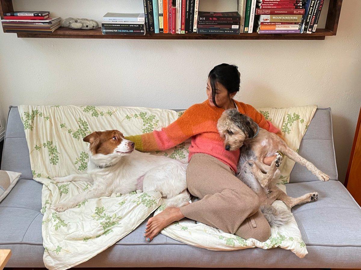 lil 🦋 tweet media