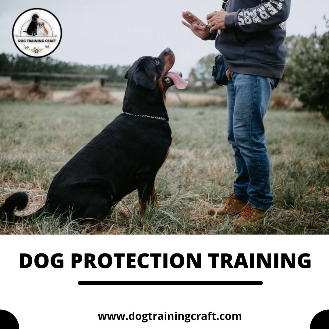 Dog protection training is one of the famous parts of dog training. Securing your home and personal security always be your primary concerns, Invest in your safety always has the best and safe side.
Visit-dogtrainingcraft.com/dog-protection…
#dogs #dogsprotectiontraining #doglover #USA #Pets