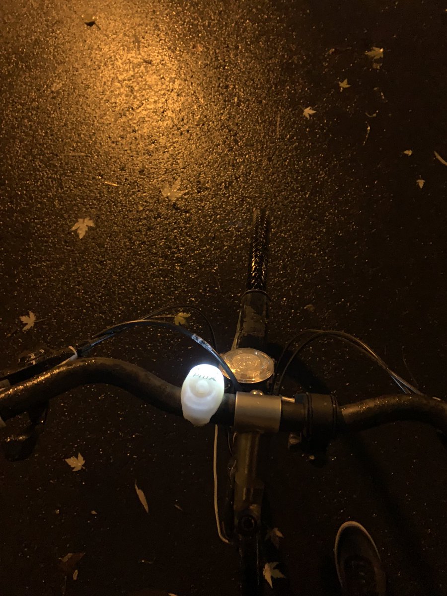 #bikedaily #bikedog