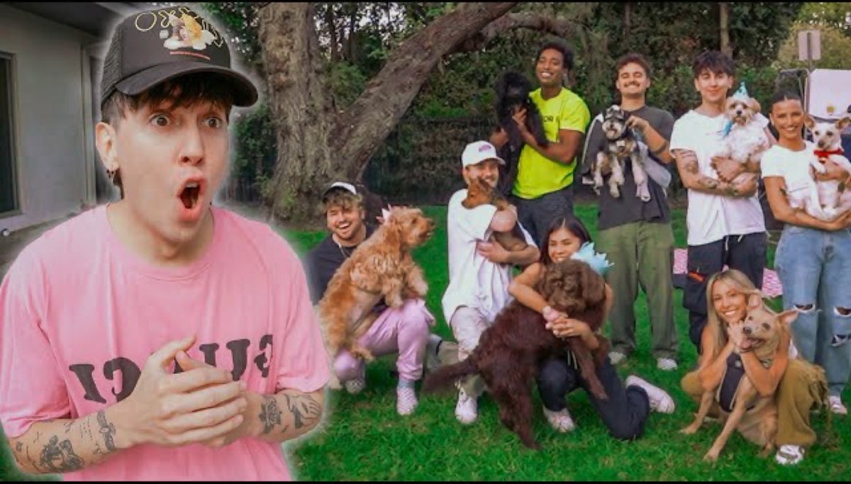 ItsBobbyMares's tweet image. FOLLOW SPREE!! 🥳 Following people who RT this!

NEW VID IS UP! Like &amp;amp; subscribe! ◟̽◞̽

MY BIGGEST BIRTHDAY GIFT EVER + PUPPY BIRTHDAY PARTY AT JC'S!!
youtu.be/PoKEkhbFpIM