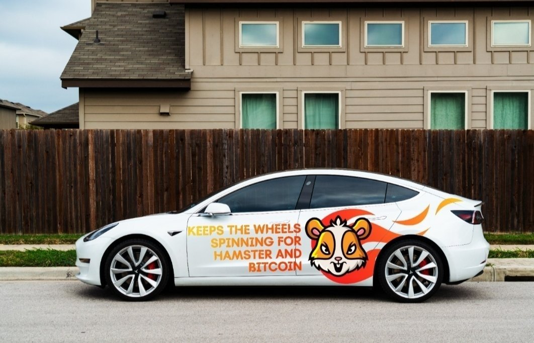 stier_22's tweet photo. Hamster Reward Tesla https://t.co/8q4u8yU0TC