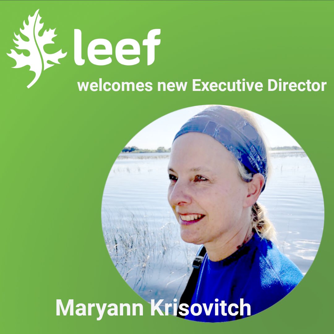 LEEF_Florida's tweet photo. The League of Environmental Educators in Florida announce their new Executive Director, Maryann Krisovitch. Please help us welcome her! π
Read more about Maryann and our Board of Directors by visiting https://t.co/YVEjn79smz.
#leeffl #EEinFL #environmentaleducators https://t.co/PzSnTWg9U1