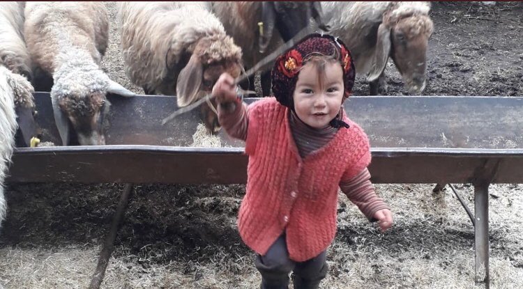 DegerOrdu's tweet photo. Belki ne umutların vardı o minik bedeninde.
Ah be güzel yüzlü Yörük kızı. 😢
Cennette  güzellikler seni bulsun.
Ay yüzlüm 😢
#Müslüme https://t.co/tgQZSFgc61