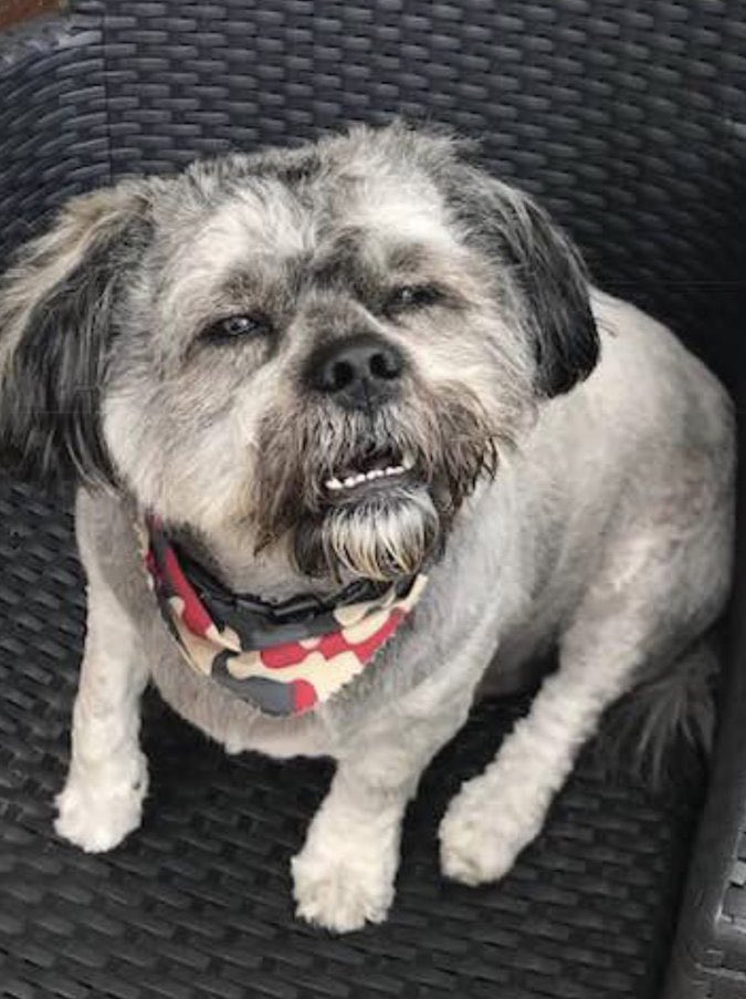 No Context Brits tweet media