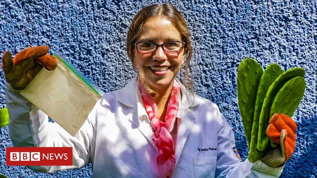 alternativaver1's tweet photo. Investigadora mexicana crea plástico biodegradable con zumo de cactus
https://t.co/liuh5l1bkl https://t.co/OIvrwJMnwf