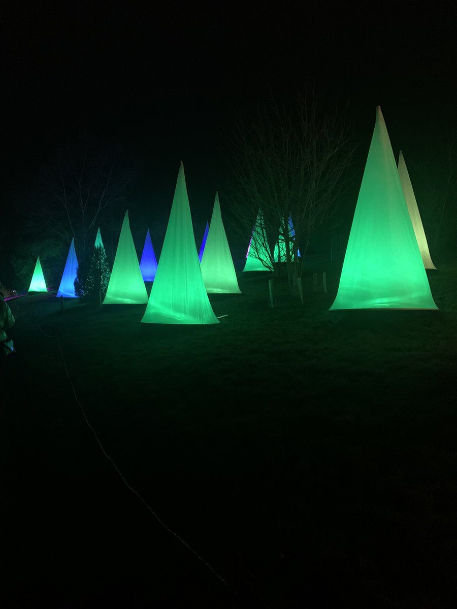 SusanKing27's tweet photo. #Bedgebury Christmas- magical. Everyone should go! https://t.co/JHCjOCf4XV
