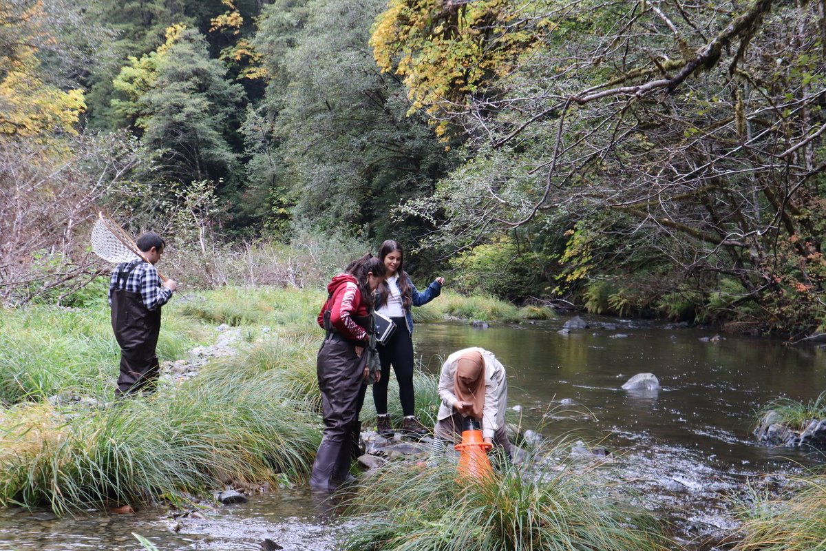 NPS - Rivers, Trails and Conservation Assistance tweet media