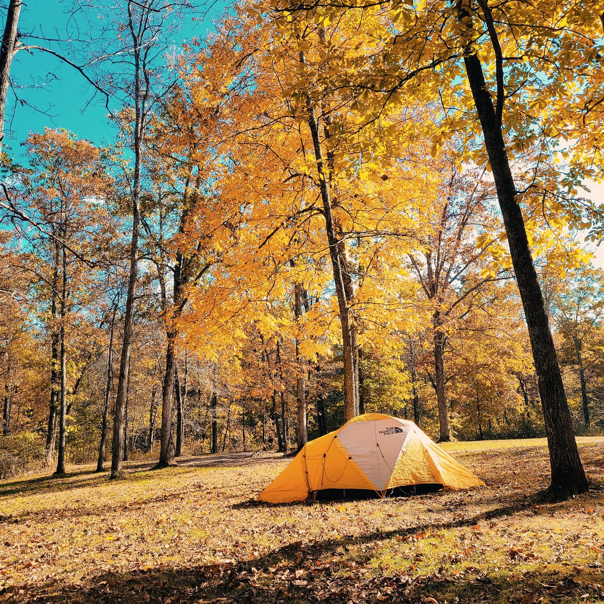 riverrat090's tweet photo. Nothing like fall colors, fishes, and camping. Carter County, MO. Southern Redbelly Dace & Rainbow Darter
#fishyfriday #autumn #fishesofmissouri #rainbow #fallcolors #camping #discovernature #freshwaterfishdiversity https://t.co/uKK2S1dARD