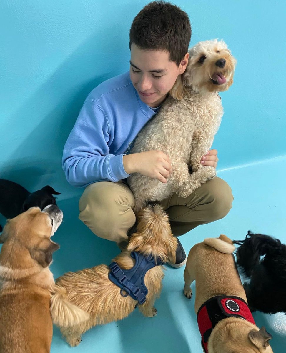 BiscuitsandBath's tweet photo. FEATURE FRIDAY: Our GV team truly embodies one of the key differences at B&amp;B - If there's one thing we make sure of for everyone who dons the blue and khaki - it's that they LOVE dogs. First and foremost. 
#dog #puppy #dogs #dogoftheday #doglover #puppies #puppylove https://t.co/rqCRYGNXPD