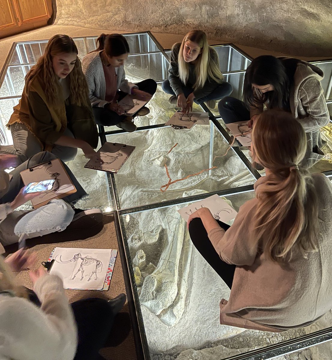 BU Math Education tweet media