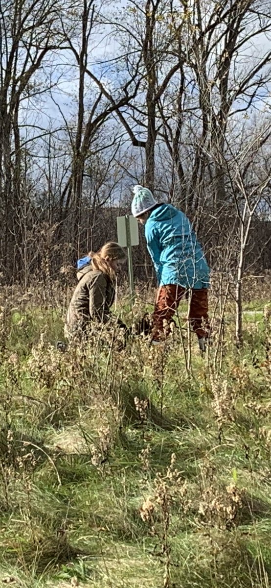 H3ELPLeaders's tweet photo. Invasive species removal today @rfldn removal of the bushes and the berries helps stop the spread and make way for native plants @carolinianzone @UTRCAmarketing https://t.co/mqEV3AJjgo