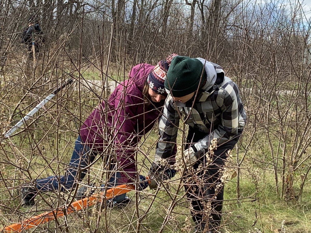 H3ELPLeaders's tweet photo. Invasive species removal today @rfldn removal of the bushes and the berries helps stop the spread and make way for native plants @carolinianzone @UTRCAmarketing https://t.co/mqEV3AJjgo