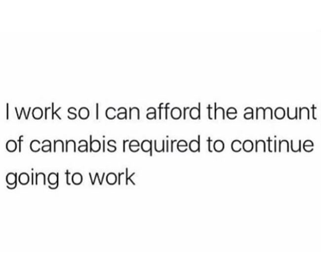 PotSmokingApp's tweet photo. So true 😂 https://t.co/warRvWgfq5